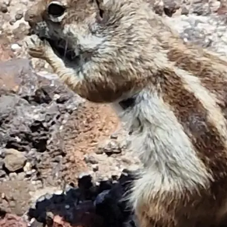 Taty House Sea View * Costa De Antigua